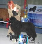 Превью фото № 12093