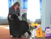 Превью фото № 120942