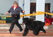 Превью фото № 120946