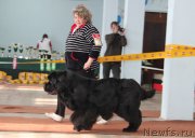 Превью фото № 120949