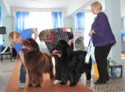 Превью фото № 120952