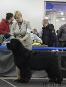 Превью фото № 120979