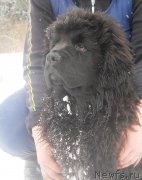 Превью фото № 120990