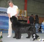 Превью фото № 12107