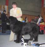 Превью фото № 12108