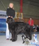 Превью фото № 12113