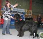 Превью фото № 12116