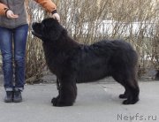 Превью фото № 121164