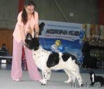 Превью фото № 12125