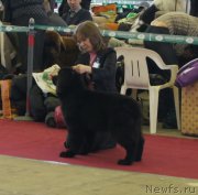 Превью фото № 121303