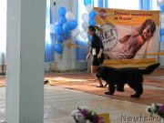 Превью фото № 121338