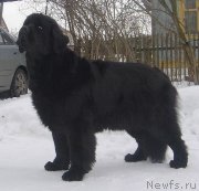 Превью фото № 121390