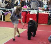 Превью фото № 121417