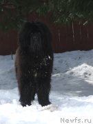 Превью фото № 121429