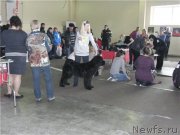 Превью фото № 121431