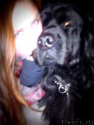 Превью фото № 121438