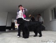 Превью фото № 121439