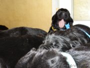 Превью фото № 121485