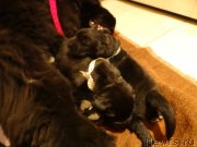 Превью фото № 121494