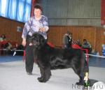 Превью фото № 12153