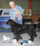 Превью фото № 12156