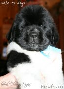 Превью фото № 121583