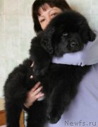 Превью фото № 121628