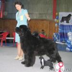 Превью фото № 12163