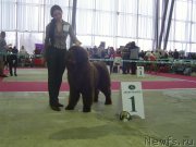 Превью фото № 121744