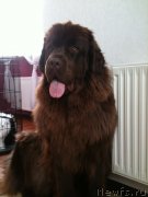 Превью фото № 121790