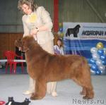 Превью фото № 12188