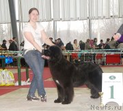 Превью фото № 121888