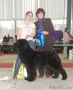 Превью фото № 121891