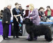 Превью фото № 121901