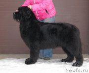 Превью фото № 121912