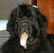 Превью фото № 121957