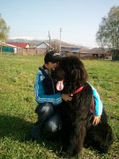 Превью фото № 121962