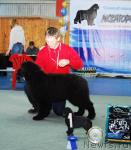 Превью фото № 12203