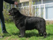 Превью фото № 122035