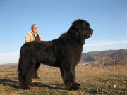 Превью фото № 122046