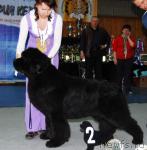 Превью фото № 12207