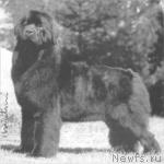 Превью фото № 12208