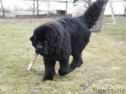 Превью фото № 122150