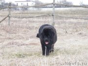 Превью фото № 122153