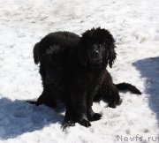 Превью фото № 122172