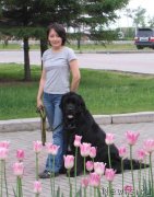 Превью фото № 122195