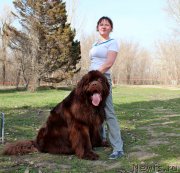 Превью фото № 122355