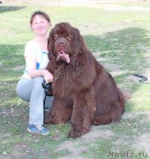 Превью фото № 122356