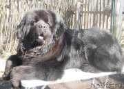 Превью фото № 122364