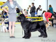 Превью фото № 122369